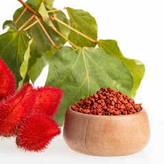Organic annatto seeds in the bowl - Bixa Orellana Plant