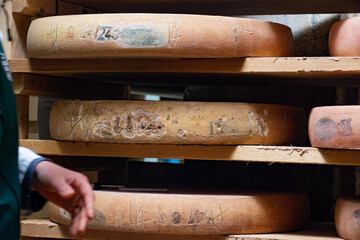 Cheese check in aging rooms with shelves in caves, central location for aging of wheels, rounds of Comte cheese from four months to several years made from unpasteurised cow milk, Jura, France