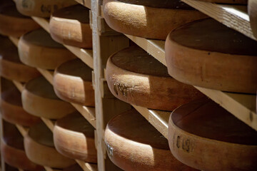 Aging rooms with shelves in cheese caves, central location for aging of wheels, rounds of Comte cheese from four months to several years made from raw cow milk, Jura, France