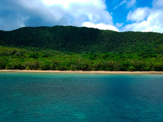 Fototapeta premium Remote beach in Australia on a sunny day. Daintree and Cape Tribulation location with rainforest and reef taken by dron