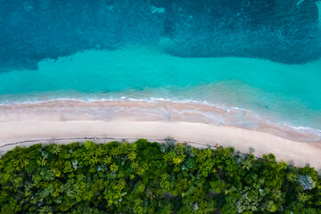 Remote beach in Australia on a sunny day. Daintree and Cape Tribulation location with rainforest and reef taken by drone, beautiful view.  © Theresa