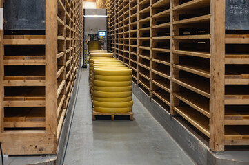 Aging rooms with shelves in cheese caves, central location for aging of wheels, rounds of Comte cheese from four months to several years made from raw cow milk, Jura, France