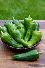 Padron green Spanish pepper or Herbón pepper landrace variety of pepper Capsicum annuum from  municipality of Padron in northwestern Spain