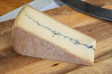 Cheese collection, French Morbier semi-soft cow milk cheese with black mold layer close up