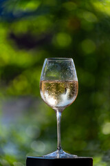 Bubbles in glass of french sparkling champagne wine golden bubbles close up