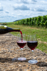 Tasting of red pinot noir wine on grand cru vineyards with cross and stone walls in Cote de nuits, making of famous red and white Burgundy wine in Burgundy region, Vosne-Romanee village
