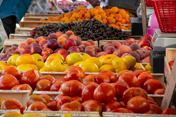 Variety of colorful tasty ripe french tomatoes on farmers market in Provence in summer