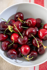 New harvest of fresh ripe dark red cherry berry in Provence, France close up