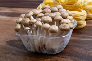 Brown shimeji edible mushrooms native to East Asia, buna-shimeji is widely cultivated and rich in umami tasting compounds