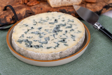 Cheese collection, piece of French blue cheese auvergne or fourme d'ambert
