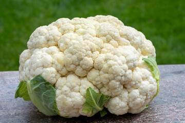 Healthy vegetarian food concept, raw cauliflower white cabbage ready for cooking