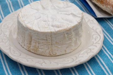 French soft Camembert cheese, original Camembert de Normandie, close up with white mold