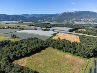 Agricultural region with lavender or lavandine plants, fruit orchards near Sisteron, Haute-Durance, Franse departement Alpes-de-Haute-Provence, in summer