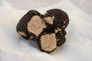 Winter truffle fair in Sarlat-le-Caneda, Perigord Noir, Dordogne, one huge black winter truffle,...
