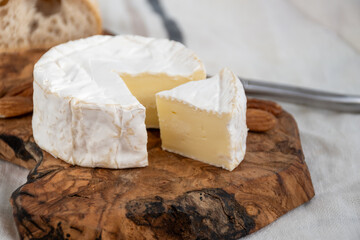 French soft Camembert cheese, original Camembert de Normandie made from raw cow milk