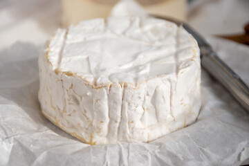 French soft Camembert cheese, original Camembert de Normandie made from raw cow milk