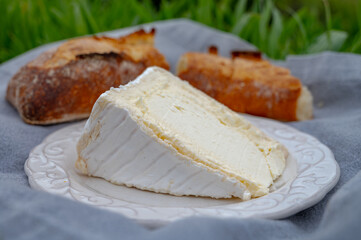 Delice de Bourgogne French cow's milk cheese from Burgundy region of France close up
