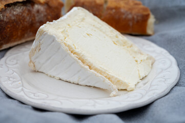 Delice de Bourgogne French cow's milk cheese from Burgundy region of France close up