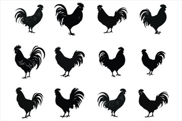 Chicken Silhouette Bundle, Hen Silhouette