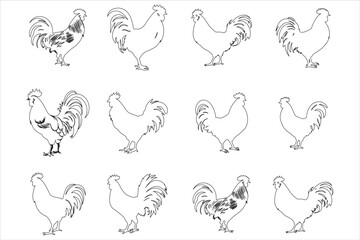  Outline Chicken Silhouette Bundle,  Outline Hen Silhouette