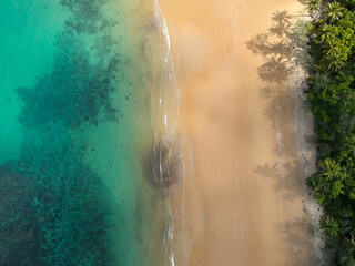Remote beach in Australia on a sunny day. Daintree and Cape Tribulation location with rainforest and reef