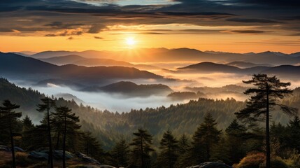 beautiful nature landscape panoramic photo