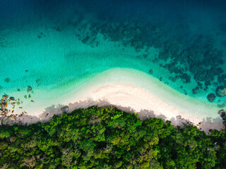 Beach, ocean, Rainforest