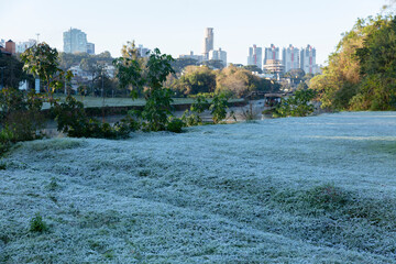 Frost in Barigui Park in Curitiba.