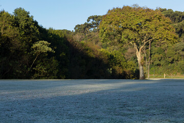 Frost in Barigui Park in Curitiba.