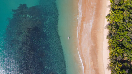 Beach, ocean, Rainforest