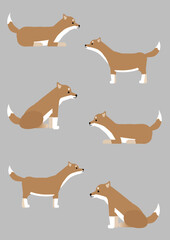 いろんなポーズの柴犬のイラスト