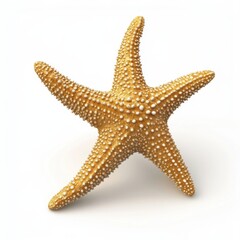 Intricate Starfish: Detailed 3D Illustration in Natural Tones on White Background