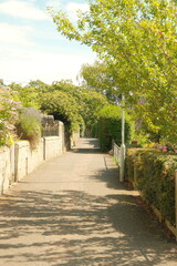 Obraz premium path in the garden