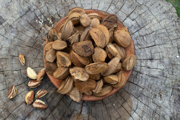 Castanha do Brasil _ Brazil nut