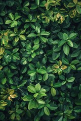 Timeless and fun design with a playful evergreen pattern for a classic and lively touch