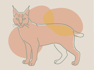 bobcat silhouette vector illustration 