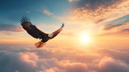 Fototapeta premium Majestic eagle flying above clouds at sunrise