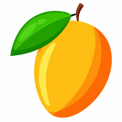 Mango isolated on white, Mango vector illustration, food vector art, Mango silhouette,  Orange fruit vector icon, mango fruit cartoon line art, eps