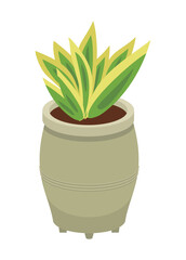 Decorative plant in tall round pot. Simple flat illustration.