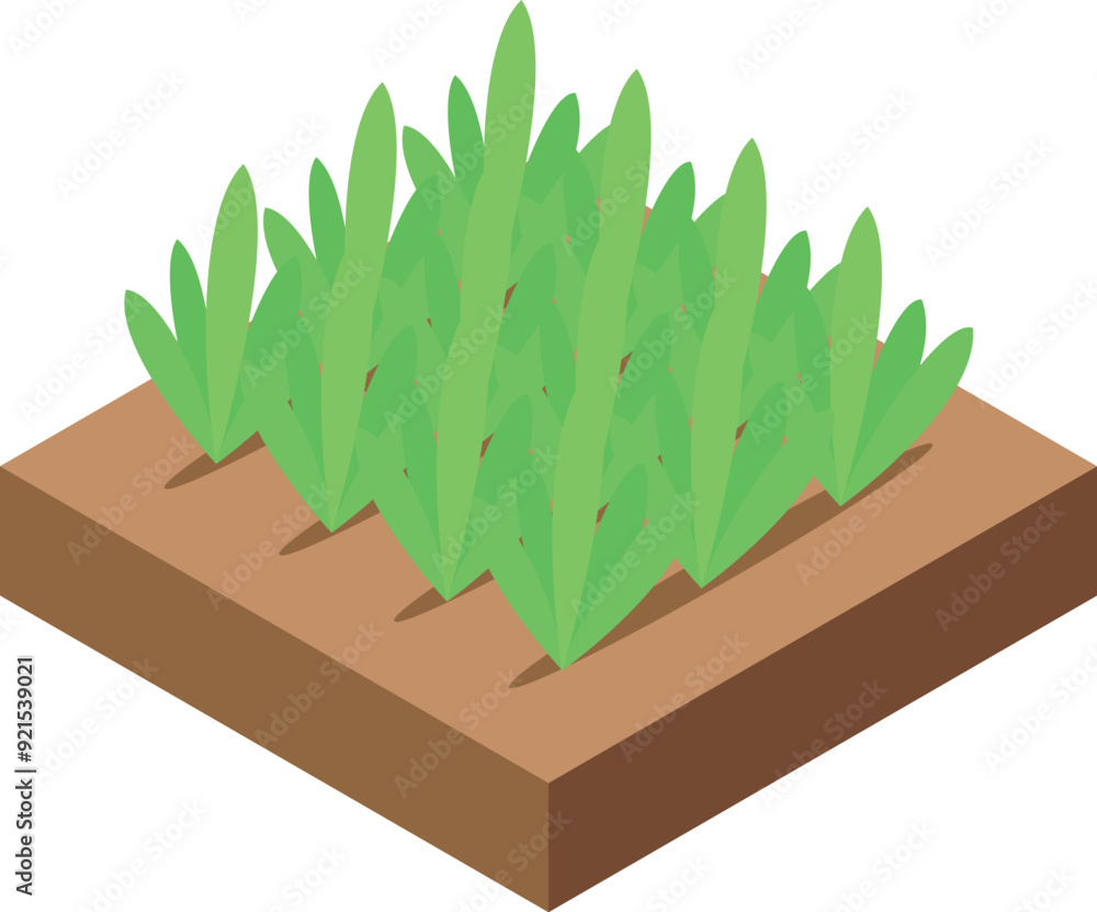 Poster square soil patch with green seedlings growing from it in isometric view