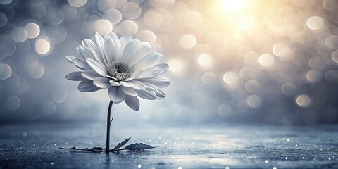 Delicate, monochromatic ink flower on a bright background, conveying comfort and support, perfect for expressing condolences and offering solace during times of loss and grieving.