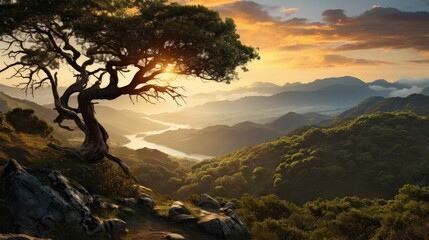 beautiful nature landscape panoramic photo