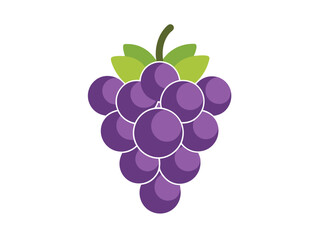 line art of grapes 