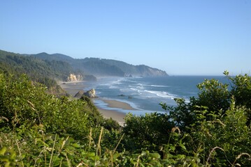 View of the beach from a high vantage point through lush foliage.
