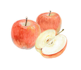 水彩絵の具で描いた三つのりんご