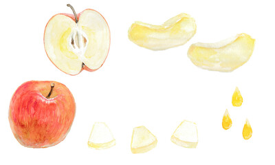 水彩絵の具で描いたりんごレシピのイメージ