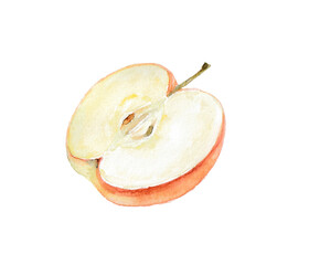 水彩絵の具で描いたりんご