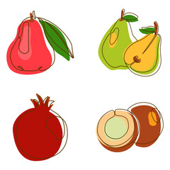 Water Apple Pear Pomegranate Coconut Fruit Healthy Food in Line Art Style