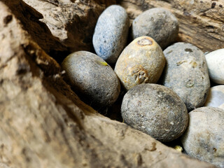 Brown stones texture or background