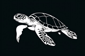 Fototapeta premium Sea Turtle Silhouette on Black Background